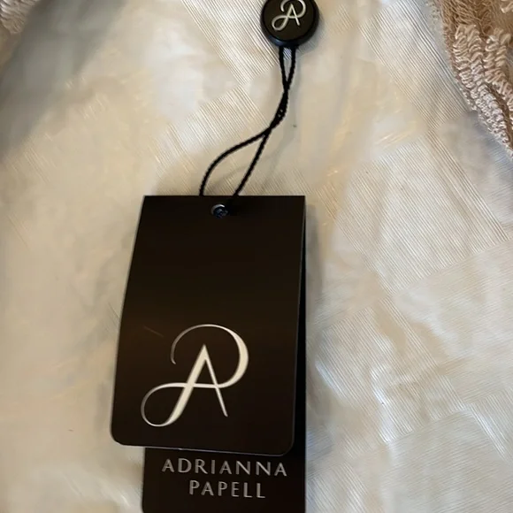 NWT Champagne Color Cocktail Dress by Adrianna Papell Size 8 - Picture 7 of 8